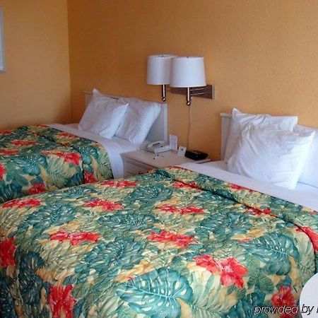 Tropical Inn Palm Bay Rum bild